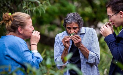 Alex Bond of the Aboriginal Environments Research Centre teaches students about native plants on the UQ campus